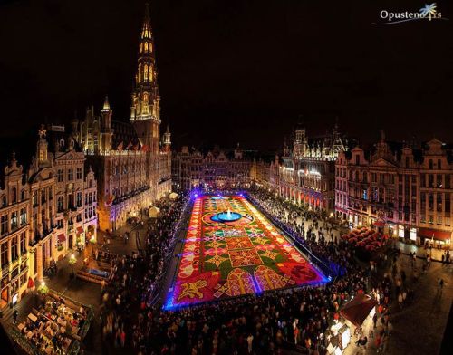 grad-brisel-belgija-32
